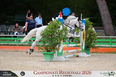 Pony da salto