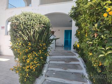 Appartamento Mozart a Pescoluse nel Salento