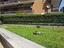 Immagine 22