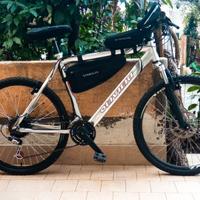 Bici elettrica pedalata assistita X-Race e-bike