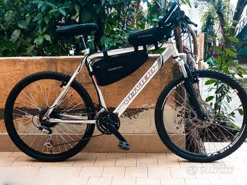 Bici elettrica pedalata assistita X-Race e-bike