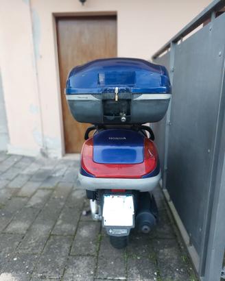 SCOOTER HONDA FORSIGHT