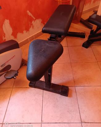 Panca palestra Panatta