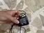 Immagine 2