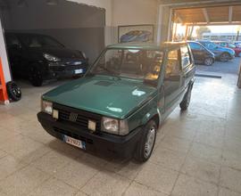 Fiat Panda 1100 i.e. cat Young