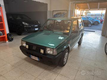 Fiat Panda 1100 i.e. cat Young