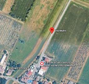 Carpi bilocale libero da subito