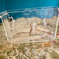 Vaso Repetai in vetro di Murano Renato Toso 1964