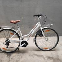 bicicletta da passeggio non elettrica 