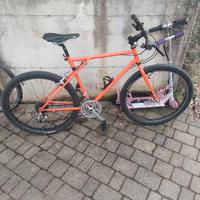 MTB  26  Bianchi Ragno Alpinestars