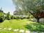Immagine 13