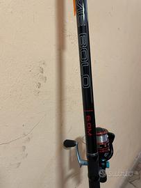 Canna bolognese ultimate 6M