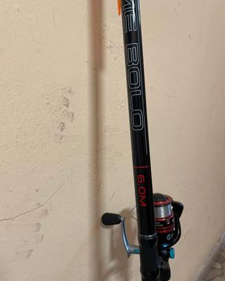 Canna bolognese ultimate 6M