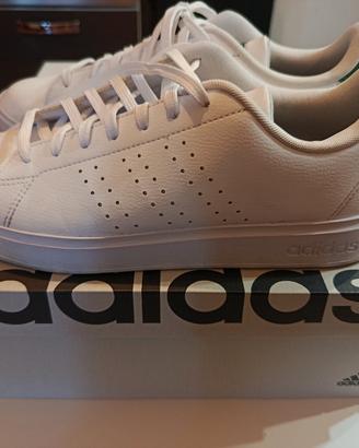 Scarpe sneakers 