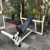 Panca inclinata Technogym 