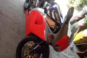 rs 250 aprilia reggiani 