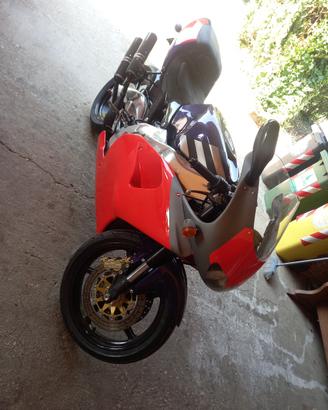 rs 250 aprilia reggiani 