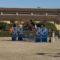 Cavallo da salto