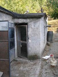 Spazio per cani