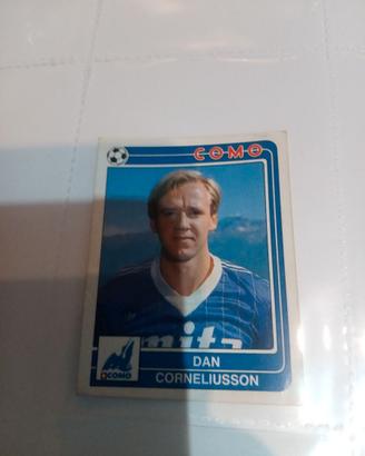 Como corneliusson panini