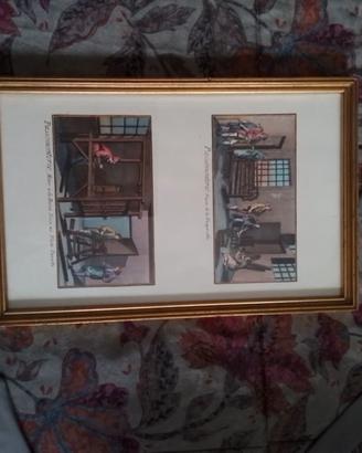 Quadro,  incisioni