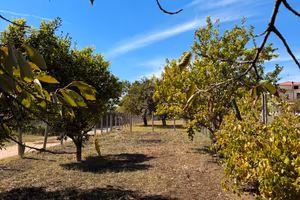 TERRENO NON EDIFICABILE