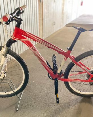 Bicicletta mountain bike specialized
