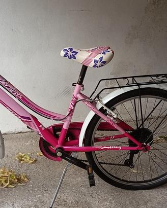 Bicicletta