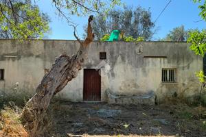 RUSTICO A ORIA