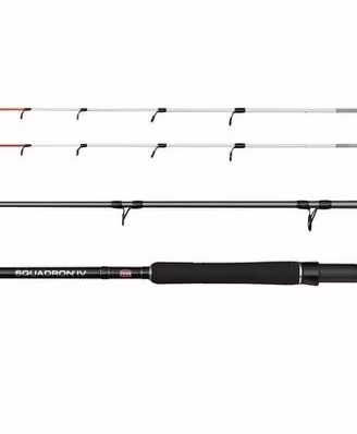coppia canne da pesca Penn Squadron IV Boat