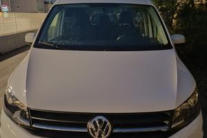 Caddy per disabili 2019