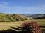 Immagine 13
