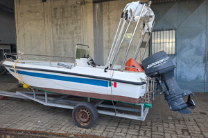 Barca 4,60mt più motore 60cv e carrello
