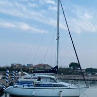 Barca vela