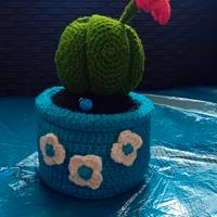 Vaso con pianta grassa ad uncinetto
