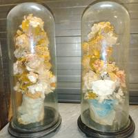 coppia di campane in vetro 