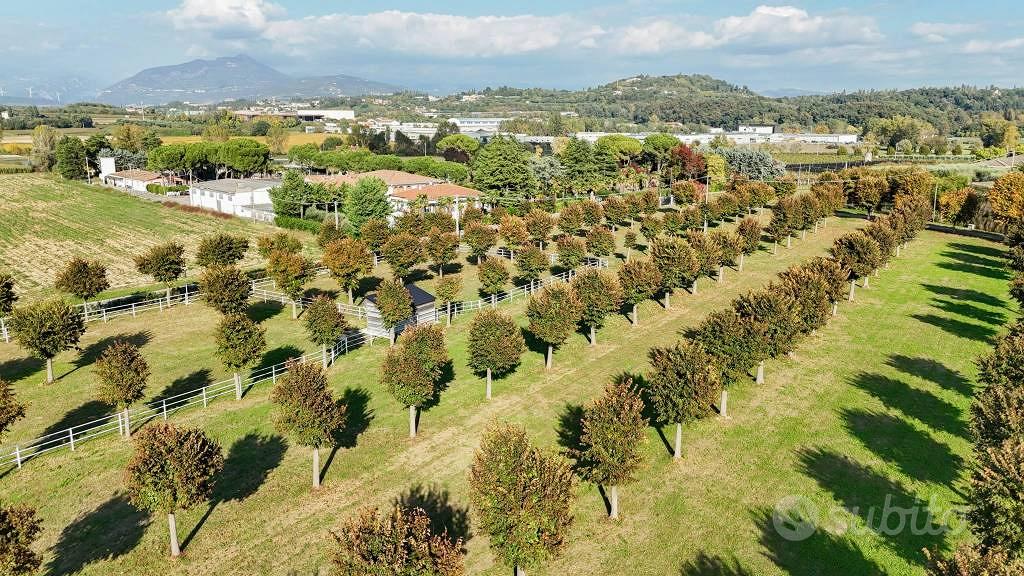 Terreno di 27000 m² a Bussolengo - Altro
