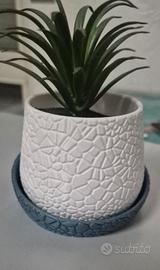 Vasi per piante grasse  
