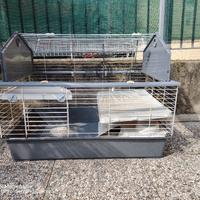 gabbia per conigli 