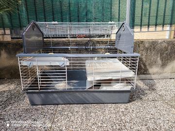 gabbia per conigli 