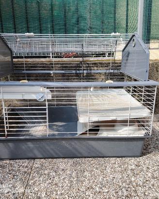 gabbia per conigli 