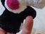 Immagine 6