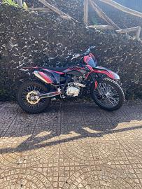 Pit Bike Big 250 – 250cc