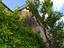 Immagine 26