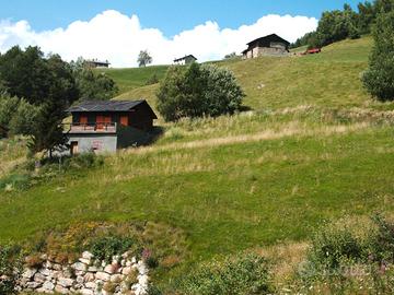 Casa Montagna zona Mortirolo