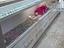 Immagine 2