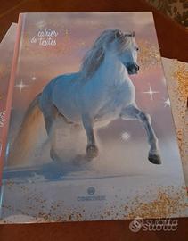 OBERTHUR Diario scolastico, versione francese