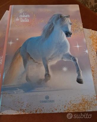 OBERTHUR Diario scolastico, versione francese