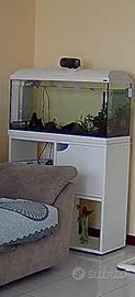 acquario 