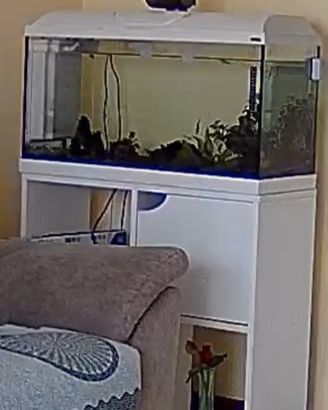 acquario 